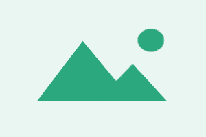 Xiaomi Service Tool AUTO API EXISTING USER Flash/EFS/Mi Cloud Credit